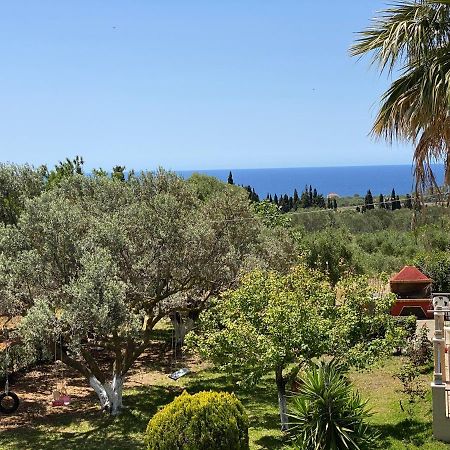 Lemon Tree Apartments A D Argostoli  Exteriér fotografie