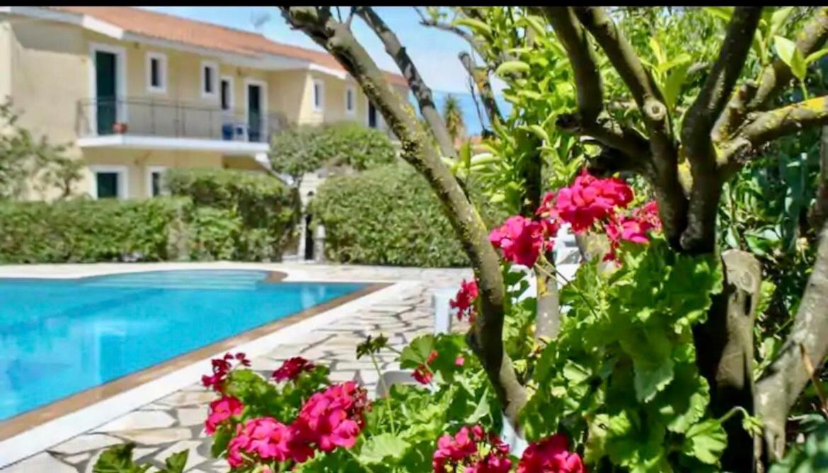 Lemon Tree Apartments A D Argostoli  Exteriér fotografie